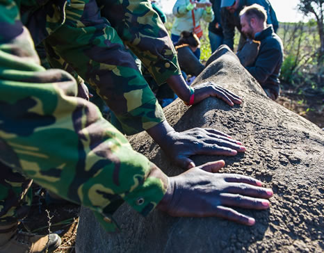 grid img 1 cropped01