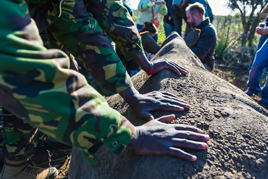 grid img 1 cropped mobile